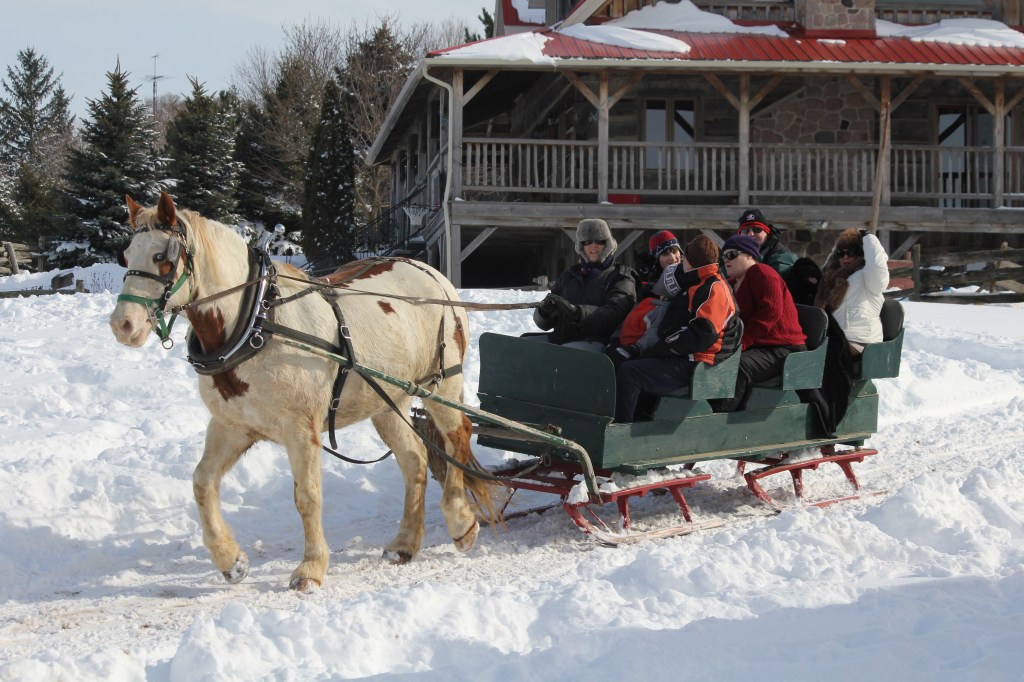 Wegaland Scibling Ride Sleigh & Wagons Rides